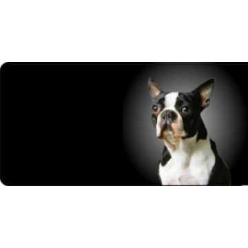 Boston Terrier Dog Photo License Plate 